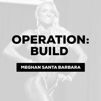 Meghan Santa Barbara - Operation: BUILD $175